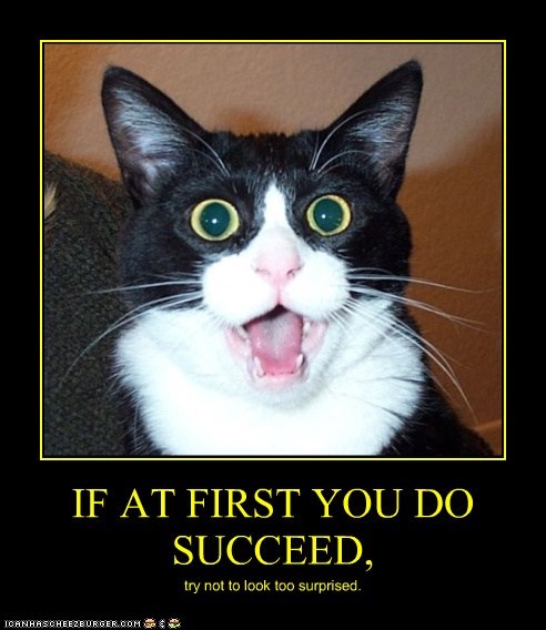IF AT FIRST YOU DO SUCCEED,