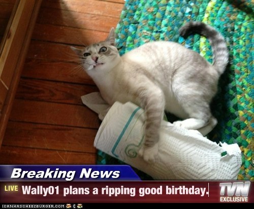Breaking News - Wally01 plans a ripping good birthday.