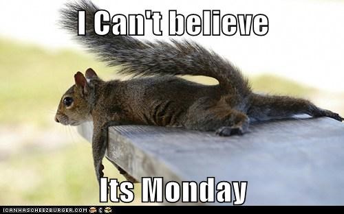 I Can't believe  Its Monday