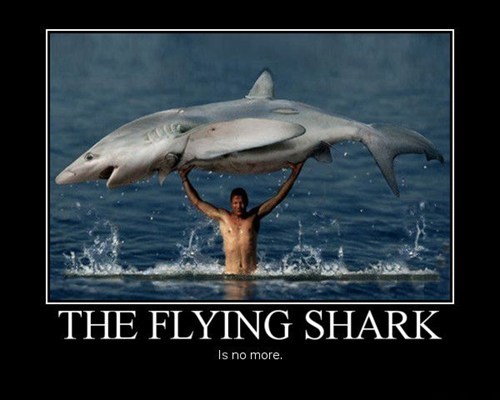 He Caught the Flying Shark?