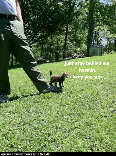 just stay behind me, hoomin. i keep you safe.