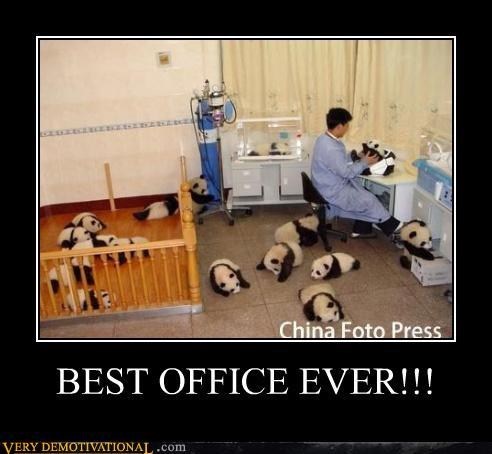 I Want to Work Here Please