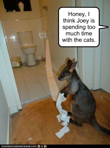 Wait'll she sees the litter box!