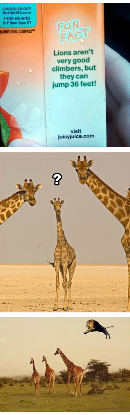 This Fact Has to Be Lion