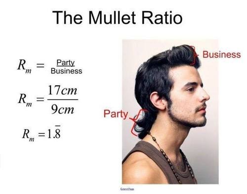 The Math of Mullet