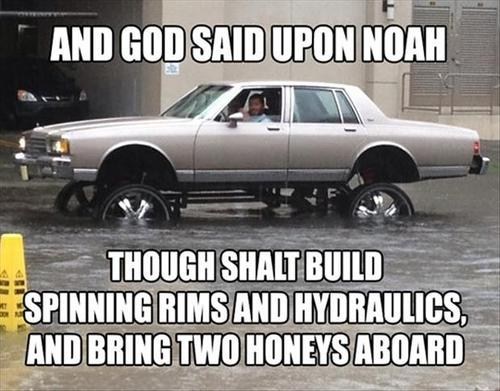 Noah's Ride