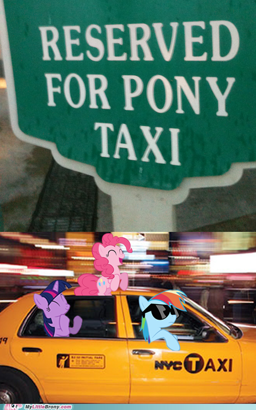 Reserved for Pony Taxi