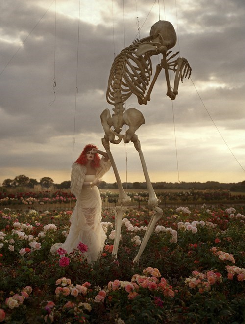 Now That's a Big Skeleton