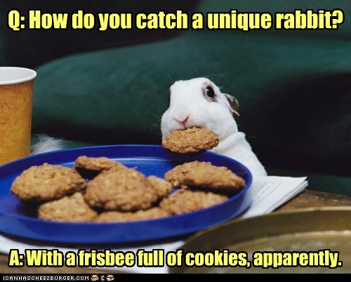 Q: How do you catch a unique rabbit?
