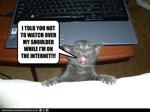 I TOLD YOU NOT TO WATCH OVER MY SHOULDER WHILE I'M ON THE INTERNET!!!
