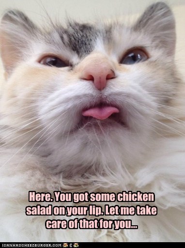 Here. You got some chicken salad on your lip. Let me take care of that for you...