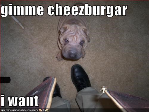 gimme cheezburgar  i want