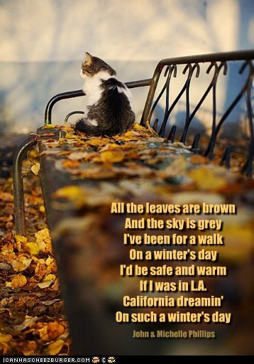 Dreamin' of California