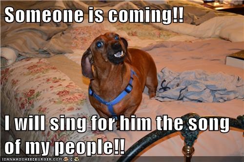 Every Time the Door Bell Rings