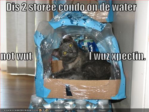 Dis 2 storee condo on de water not wut                               I wuz xpectin.