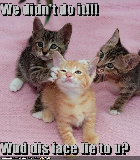 We didn't do it!!!  Wud dis face lie to u?