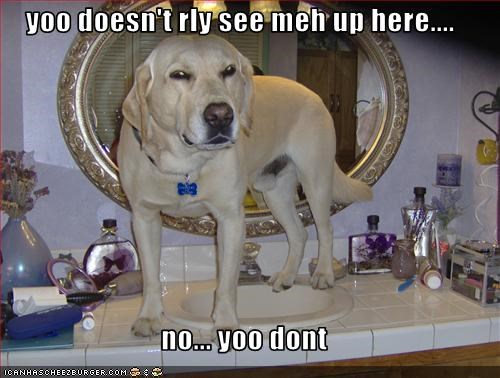 yoo doesn't rly see meh up here....  no... yoo dont
