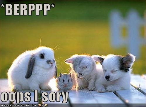 *BERPPP*  oops I sory