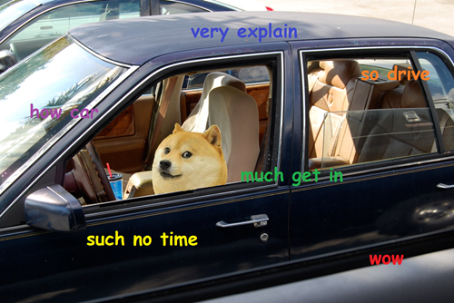 All Aboard the Dogemobile: wow