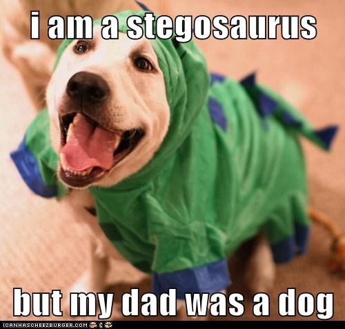So I'm Actually a Dogosaurus