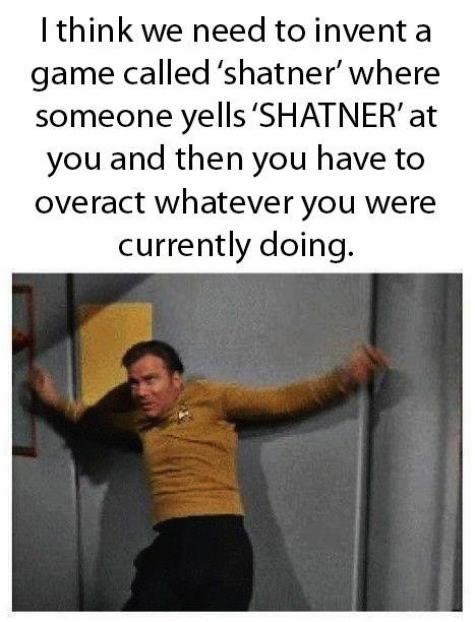 You Perfectly Shatnered That!