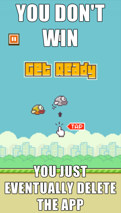 The Truth About Flappy Bird