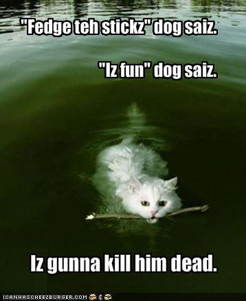 "Fedge teh stickz" dog saiz."Iz fun" dog saiz.