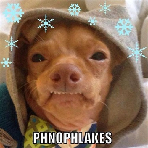 Phteven Loves the Phnow