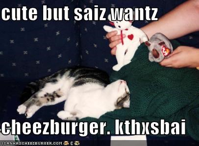 cute but saiz wantz  cheezburger. kthxsbai