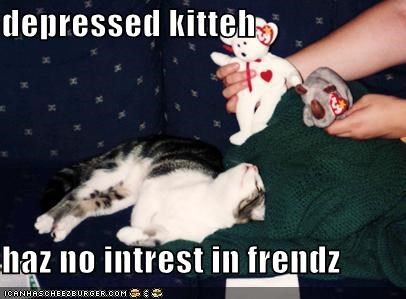 depressed kitteh  haz no intrest in frendz