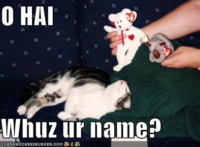 O HAI  Whuz ur name?
