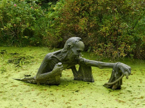 Imagine Walking Through the Woods and Finding This