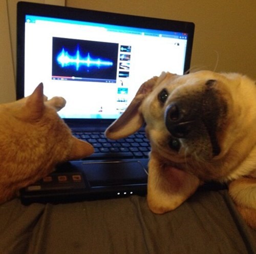 Whatcha Doin'?