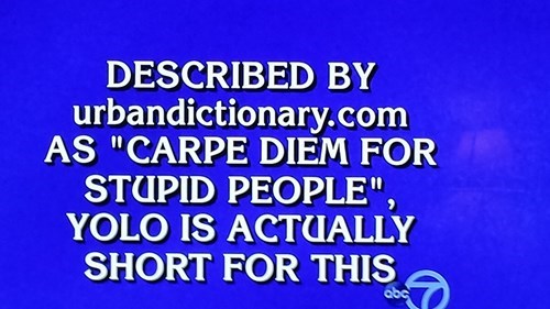 The Best Description of YOLO