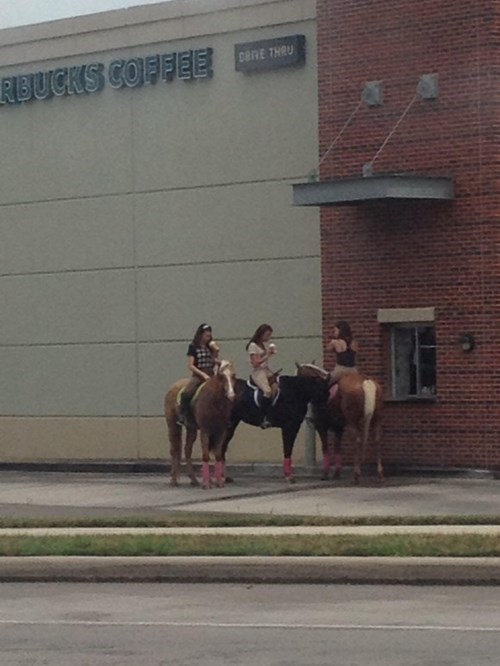 horseback riding,texas,horses