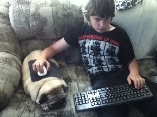 This Pug is a True Gamer