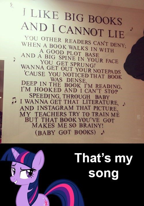 Sir Read-a-Lot
