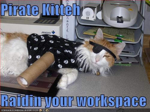 Pirate Kitteh  Raidin your workspace