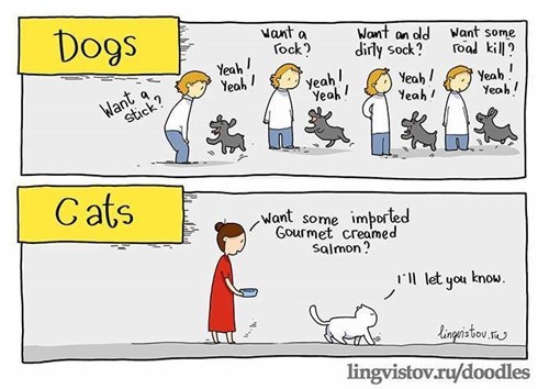 Dogs vs. Cats