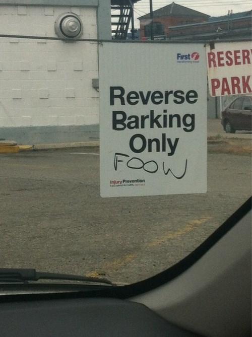 I See What You Did There