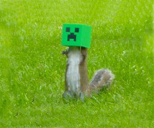 Creeper SSSSSSSSquirrel Feeder