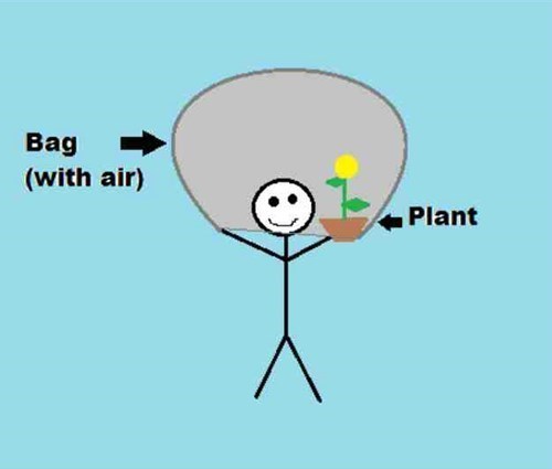 How to Breathe Underwater
