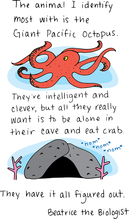 The Animal I Most Identify With