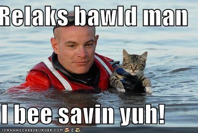 Relaks bawld man  I bee savin yuh!