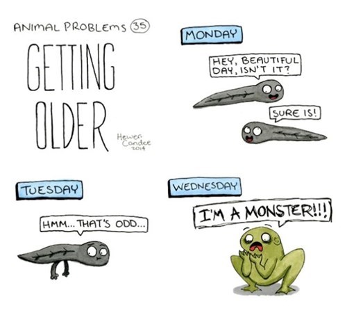 nature,frogs,monster,tadpole,web comics