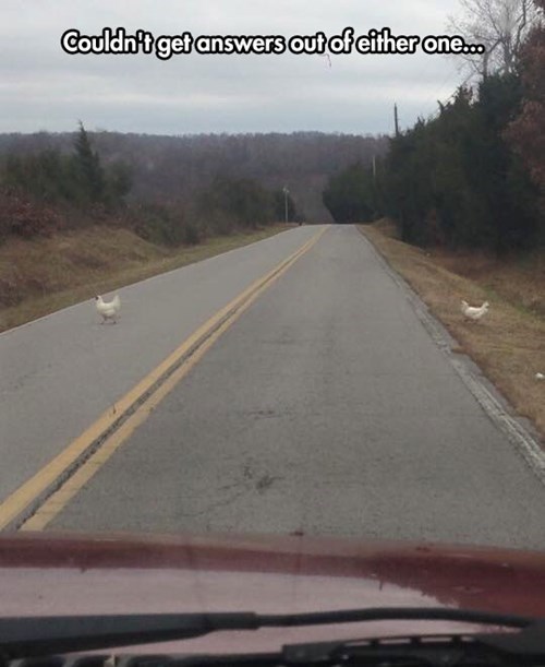 chickens,why did the chicken cross the road