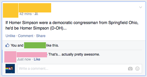 homer simpson,facebook,the simpsons,politics