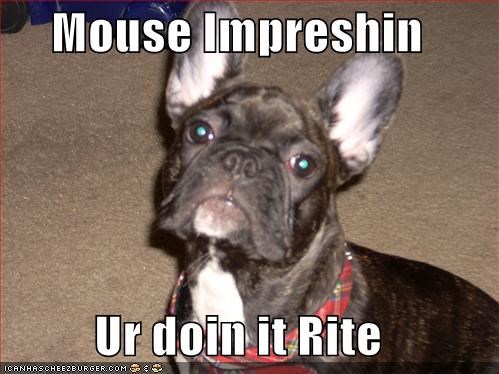 Mouse Impreshin  Ur doin it Rite