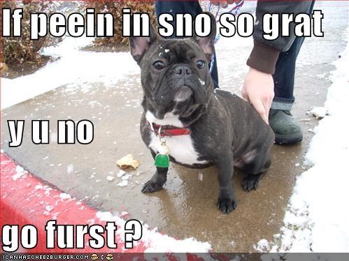 If peein in sno so grat  y u no go furst ?