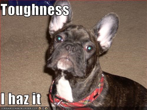 Toughness  I haz it